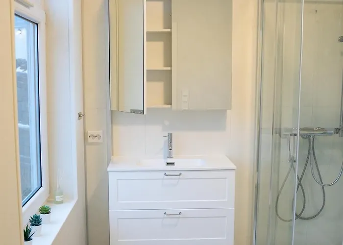 公寓 Large With 4 Spacious Bedrooms 斯基恩