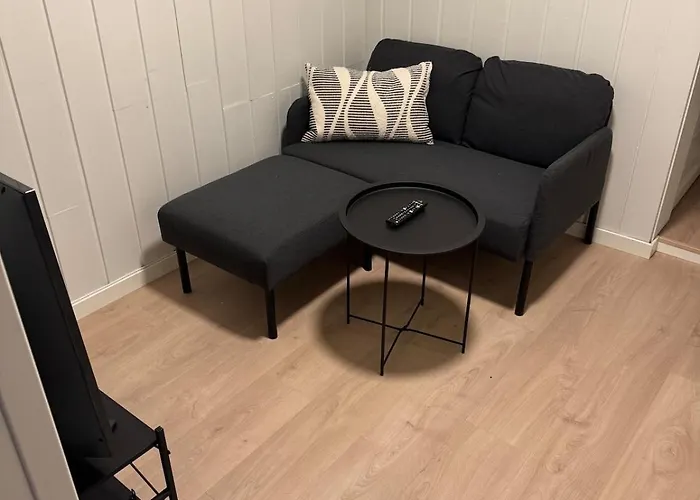 Large With 4 Spacious Bedrooms * 斯基恩